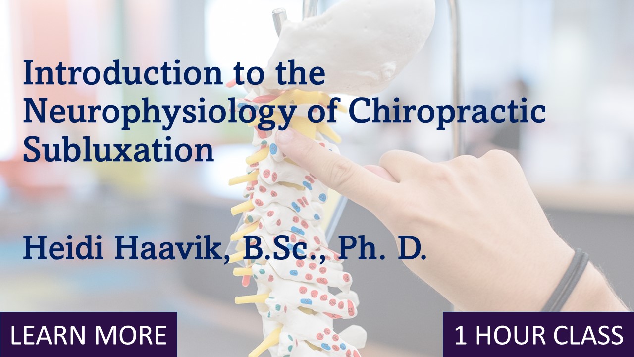 Introduction to the Neurophysiology of the Chiropractic Subluxation